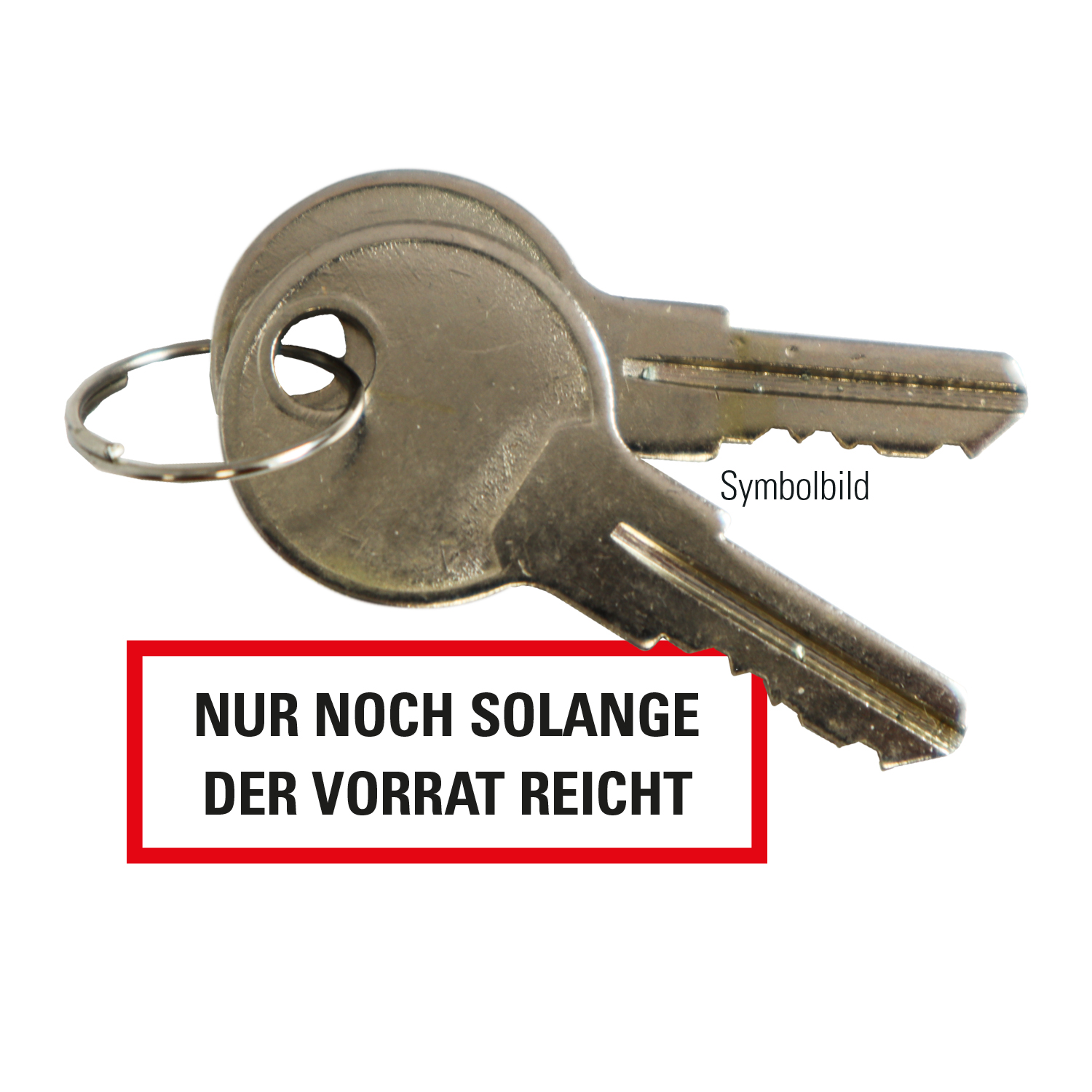Ersatzschlüssel Rundzylinder für GfS Schwenk-Türwächter